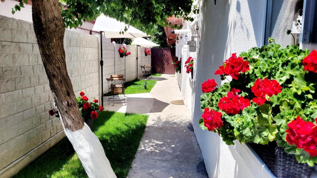 شقة Rose Garden House بوخارست المظهر الخارجي الصورة